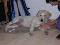 Iarna 2009 003